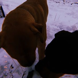 Meet your Posher, Briana